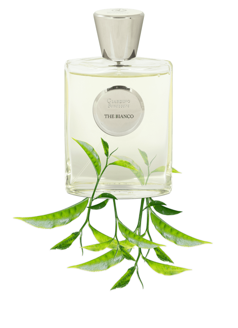 Giardino Benessere Amber Edp 100 - Ml